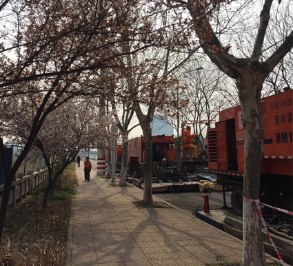 英达橙色机组与道路两旁的樱花相映成画